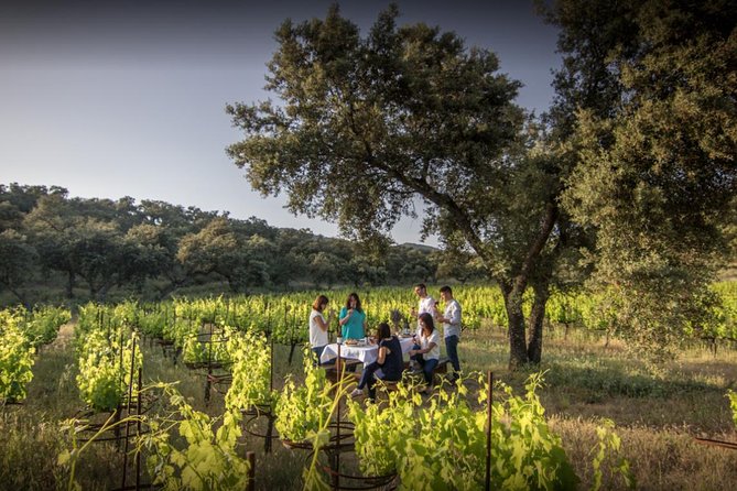 Ronda Private Wine Tour and Tapas from Marbella - Why Finca La Melonera is more than a tasting room