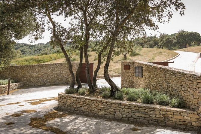 Ronda Private Wine Tour and Tapas from Marbella - Practical details before you book