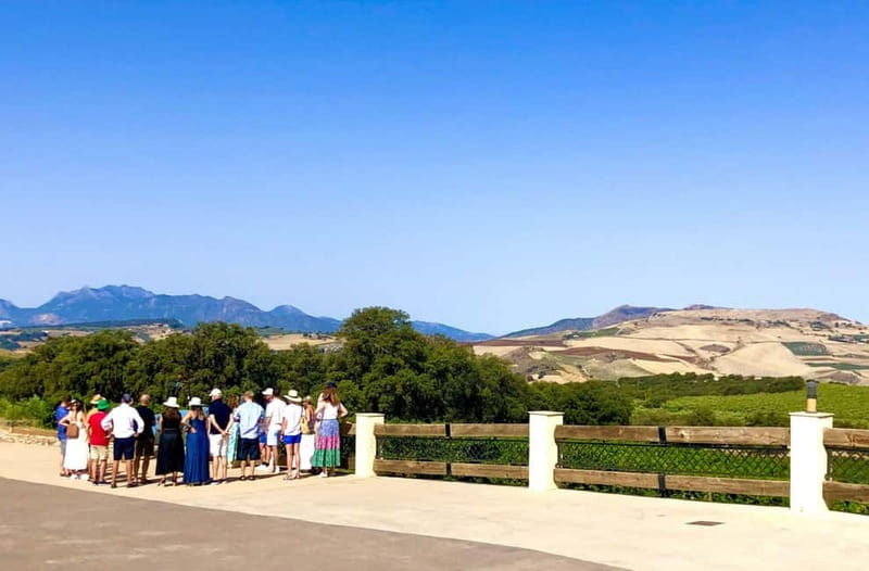Ronda: Winery Tour with Wine Tasting and Tapas - Why this Ronda winery visit feels personal