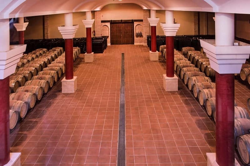 Ronda: Winery Tour with Wine Tasting and Tapas - The $59 price and what it covers