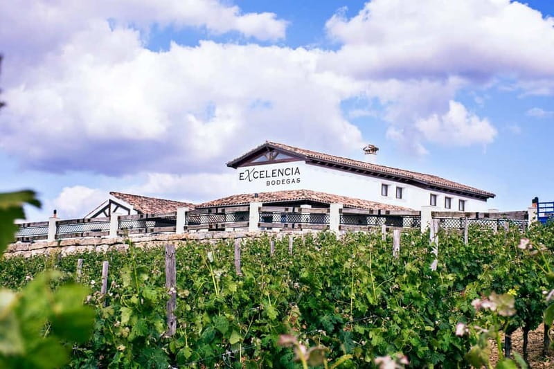 Ronda: Winery Tour with Wine Tasting and Tapas - Who will enjoy this most