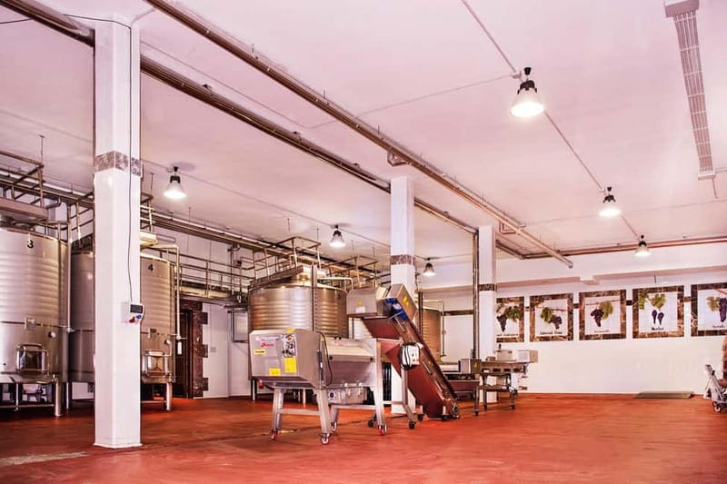 Ronda: Winery Tour with Wine Tasting and Tapas - The vineyard walk and Ronda’s wine country