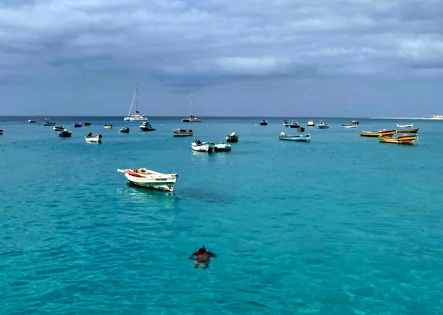 Sal island: Santa Maria city tour, street art and tapas - Seeing Santa Maria beyond the beach
