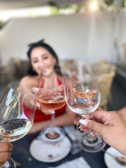 Santorini Fun day: Horseriding- Wine Tasting - Tapas - Snacks and drinks after riding