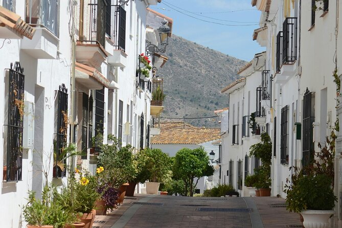 Self Guided Wine and Tapas Walking Tour - Six tapas stops through Mijas Pueblo