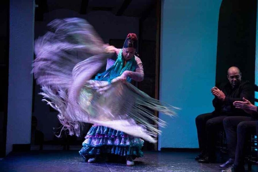 Seville: Tapas Dinner and Flamenco Show - How the $136 price measures up