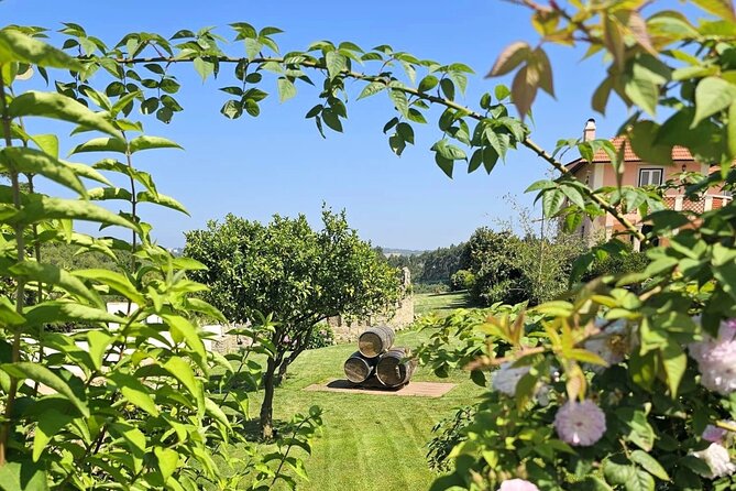 Sintra Food & Wine Experience – Tapas, Tastings & Culture - Colares offers the day’s wine context
