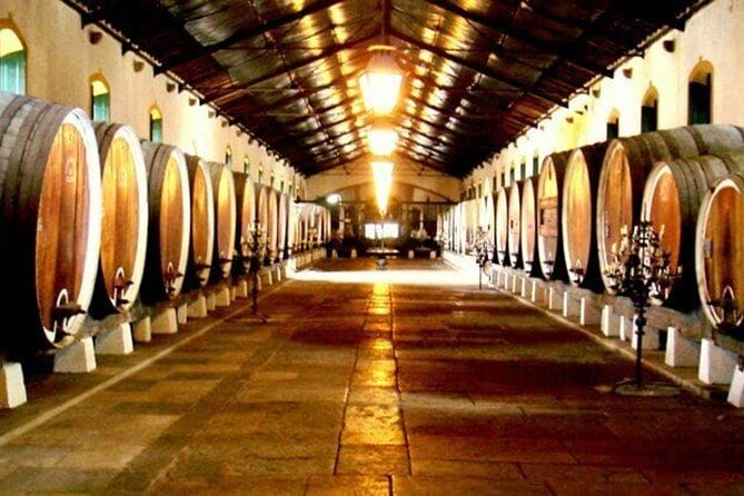 Sintra Food & Wine Experience – Tapas, Tastings & Culture - Sintra closes the day with free time