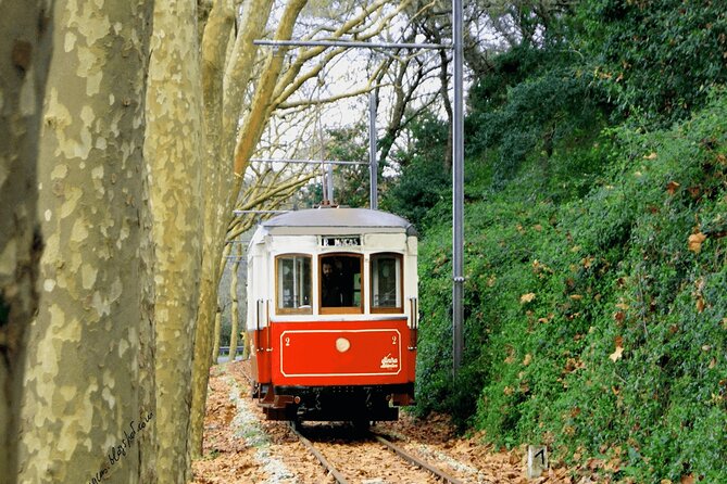 Sintra Food & Wine Experience – Tapas, Tastings & Culture - What the $395.30 price buys you