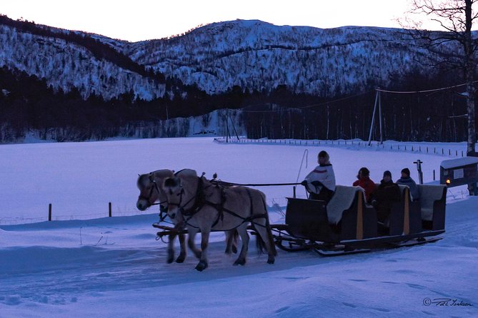 Sleigh Ride w/ Tapas Meal - Experience Arctic Farm Life - Arctic tapas in the lavvo