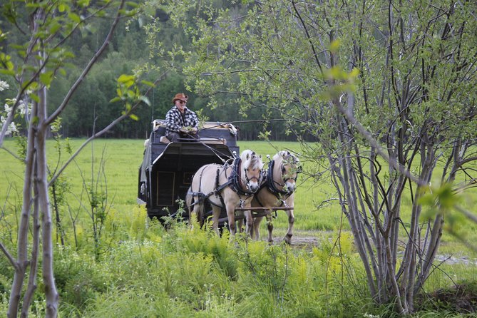 Sleigh Ride w/ Tapas Meal - Experience Arctic Farm Life - Meeting the sheep and farm animals