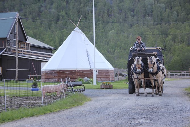 Sleigh Ride w/ Tapas Meal - Experience Arctic Farm Life - What the family welcome adds