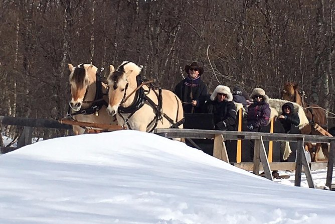 Sleigh Ride w/ Tapas Meal - Experience Arctic Farm Life - Is $236.79 per person good value?