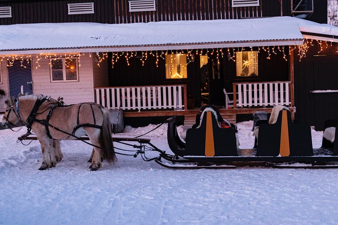 Sleigh Ride w/ Tapas Meal - Experience Arctic Farm Life - Snowy sleigh or horse-drawn wagon