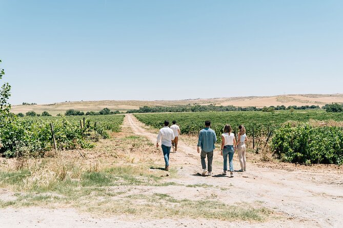 Spanish Villages & Winery Visit with Wine Tasting and Tapas Lunch - Transport, timing, and meeting points