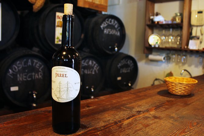 Sun and Wine Route - Small group, wine tasting and tapas included - Key points to know before booking