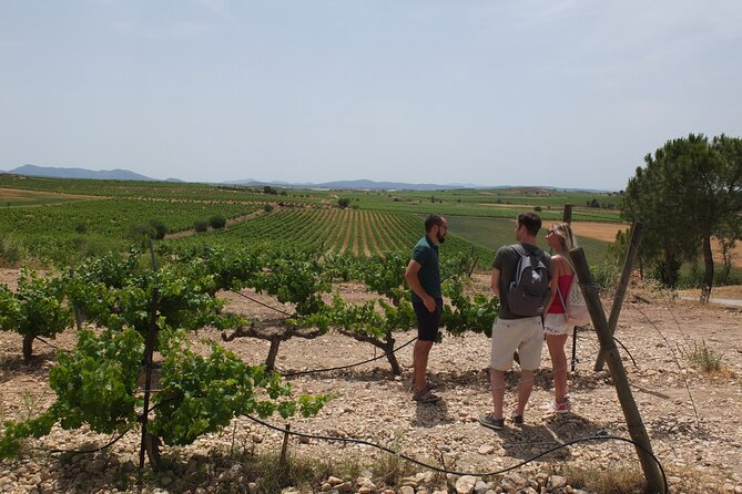 Tapas in the vineyards - Booking, cancellation, and practical checks