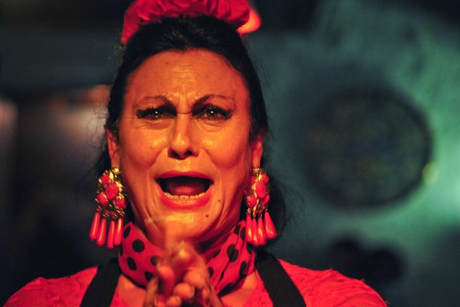Tapas, Wine and Flamenco Private Tour in Barcelona - Who should book this Barcelona evening?