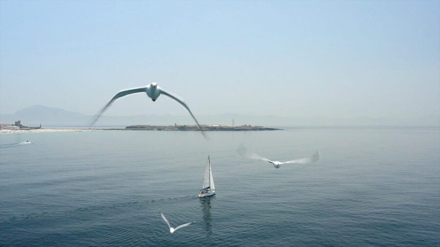 Tarifa: Sailboat Tour, Snorkelling, Tapas & Drinks - What the captain adds to the trip