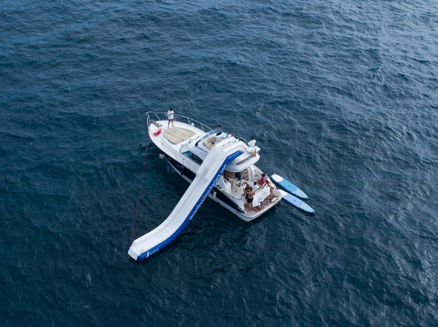 Tenerife: Shared Yacht Cruise with Champagne and Tapas - The first 45 minutes: coast, wildlife, and a glass in hand