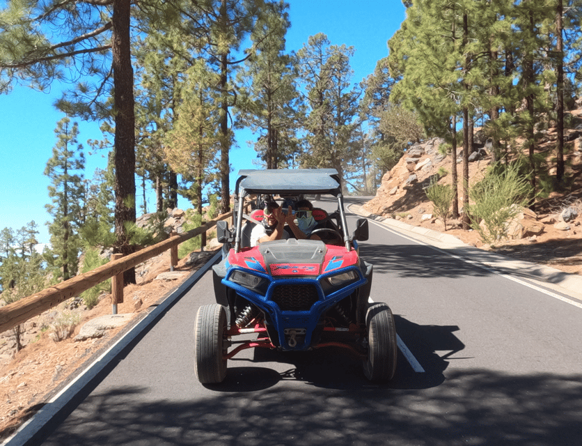 Tenerife: Volcano Teide Buggy Tour with Wine Tasting & Tapas - Who should book this Teide buggy experience