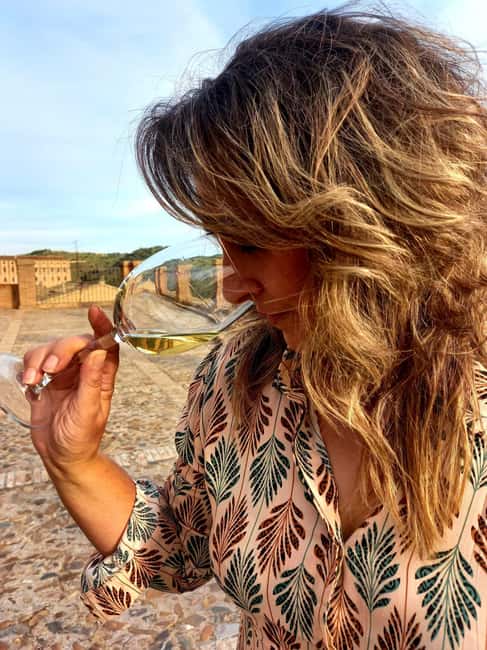 Toledo: Wine, EVOO, and Tapas Tasting - The guide makes the difference