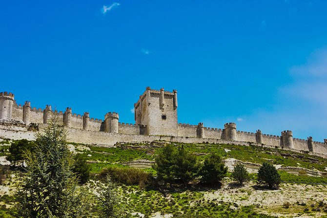 Tour in Ribera del Duero "like a native", with traditional Spanish tapas - Why this Ribera del Duero day feels different