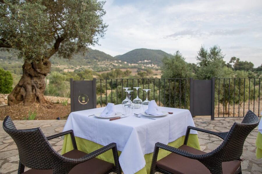 Treurer: Tapas Gourmet and Extra Virgin Olive Oil - Dress for a special evening