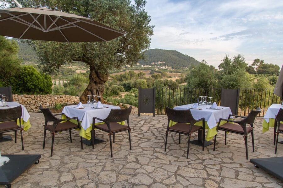 Treurer: Tapas Gourmet and Extra Virgin Olive Oil - My recommendation for booking