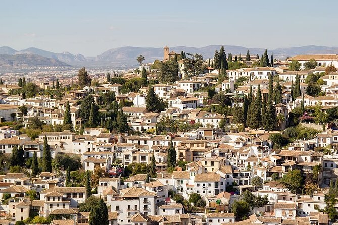 True Taste of Granada Old Town & Albaicin Tapas Tour - Why this tapas walk works in Granada