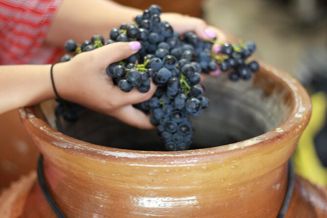 Urban winery tour, premium tasting flight & tapas - Price and what the two hours are worth