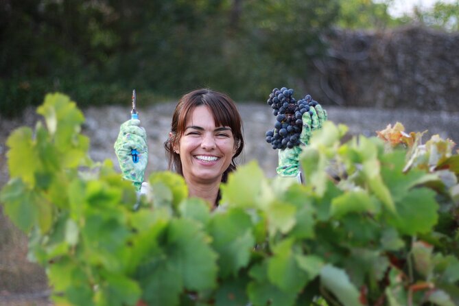 Urban winery tour, premium tasting flight & tapas - Who will enjoy this experience most
