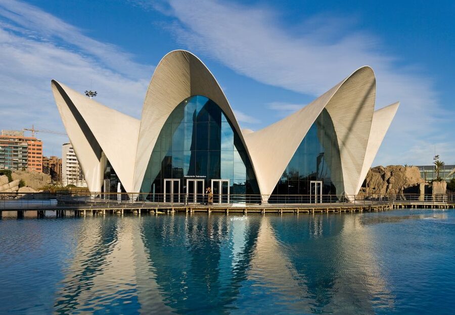 Valencia: Guided City Walking Tour with Tapas Tastings - Who should book this Valencia walk?