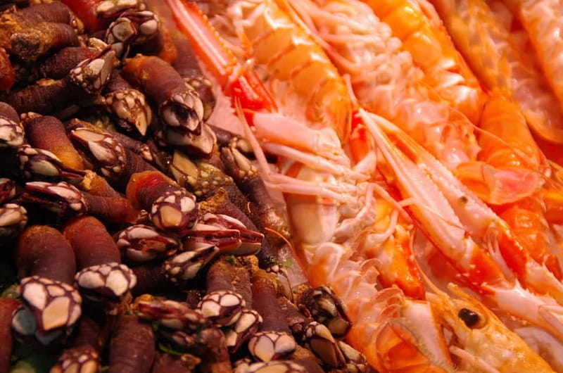 Valencia: Tapas and Sightseeing guided tour - Practical details before you book