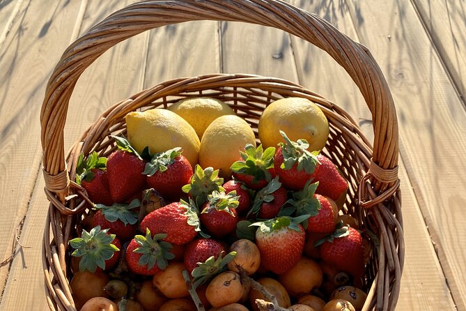 Vilamoura, Albufeira & Porches: Wine Tasting, Tapas & Music Tour - Booking, cancellation, and useful planning details