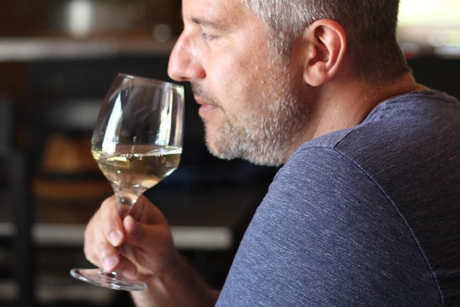 Vilamoura, Albufeira & Porches: Wine Tasting, Tapas & Music Tour - Walking through the vineyard and cellar