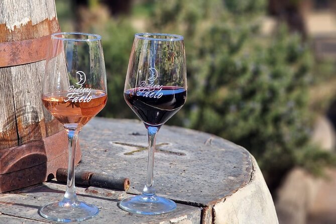 Wine and Tapas Tasting Tour from Alicante, Private Van - Key points at a glance