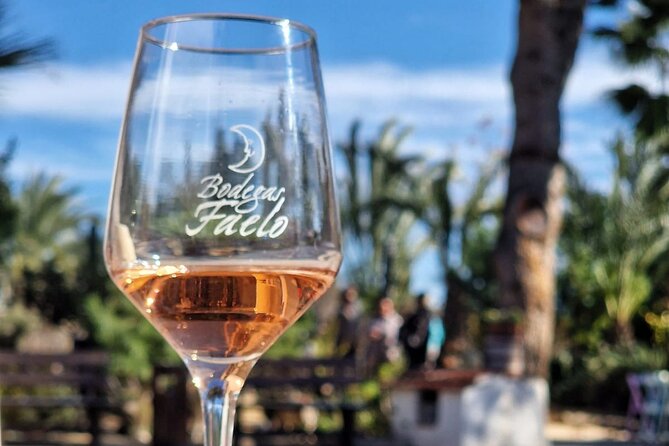 Wine and Tapas Tasting Tour from Alicante, Private Van - Why this Alicante wine trip is worth your afternoon