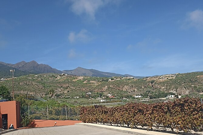 Wine, Canarian Tapas, Culture, VIP Private tour - photos included - Los Roques brings you to black sand and cave houses