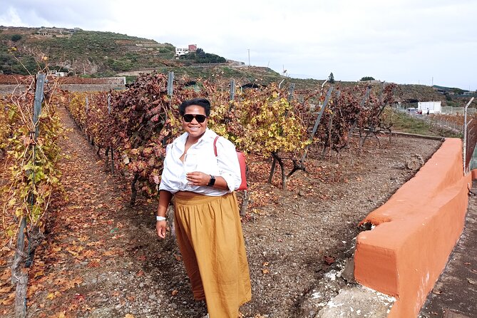 Wine, Canarian Tapas, Culture, VIP Private tour - photos included - Theo’s guiding and photography add value
