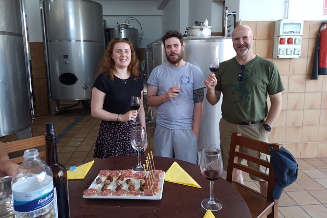 Wine, Canarian Tapas, Culture, VIP Private tour - photos included - Vilaflor gives the day a high-country setting