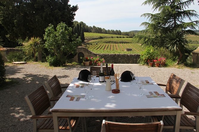 Wine & Cava Penedes Tour: Wineries, Wine Tasting and Tapas - Key points at a glance
