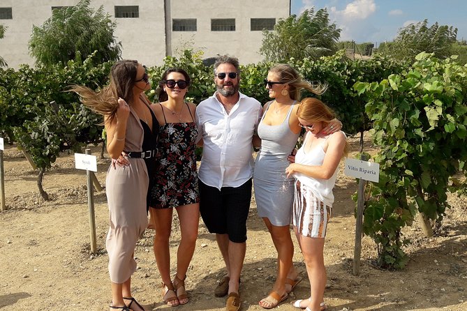 Wine & Cava Penedes Tour: Wineries, Wine Tasting and Tapas - Albet i Noya, wine with Catalan tapas