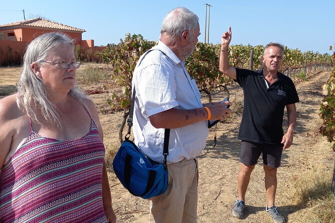 Wine Lovers: Winery Tour w/ Tasting & Tapas (Albufeira/Vilamoura) - A winery visit with more than a tasting