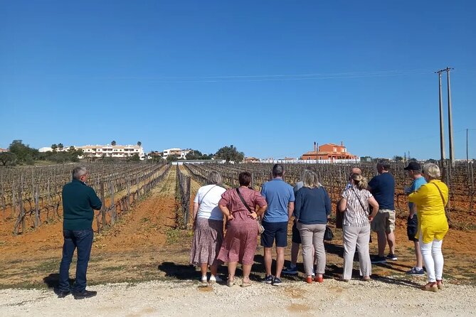 Wine Lovers: Winery Tour w/ Tasting & Tapas (Albufeira/Vilamoura) - Firewater, almond liqueur, and pastel de nata