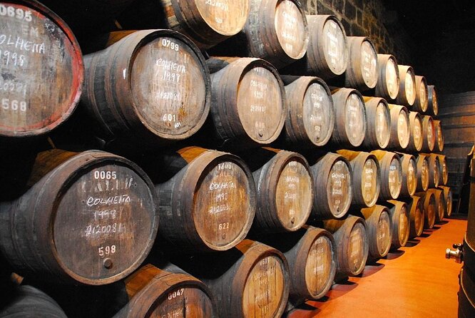 Wine, Tapas and Winery Tour - Key points at a glance