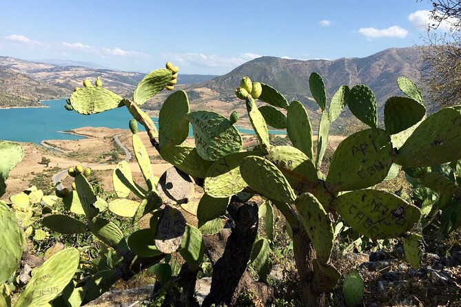 Wine, Tapas & Lake Zahara by e-bike incl Ronda pickup (full day) - Why the transport from Ronda matters