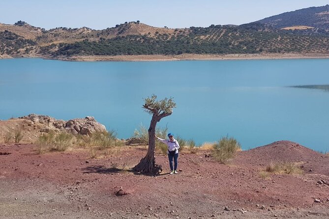Wine, Tapas & Lake Zahara by e-bike incl Ronda pickup (full day) - Fitness, weather, and the practical trade-offs