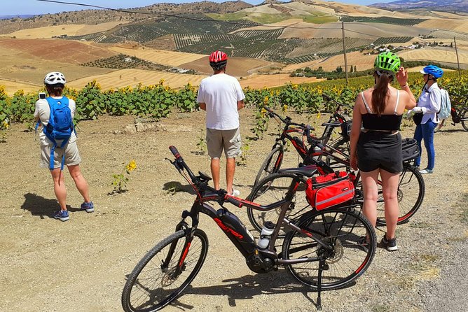 Wine, Tapas & Lake Zahara by e-bike incl Ronda pickup (full day) - Should you book Wine, Tapas & Lake Zahara?