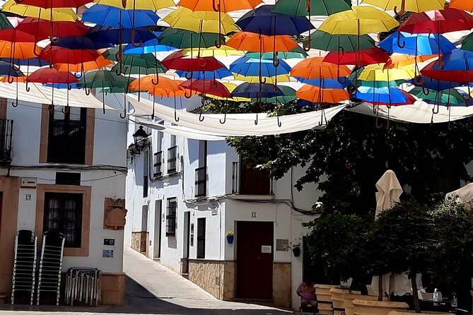 Wine & Tapas tour by electric bike (e-bike) including Ronda pickup (full day) - Tapas, snacks, lunch, and drinks